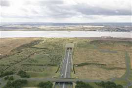 interpretation of Lower Thames Crossing